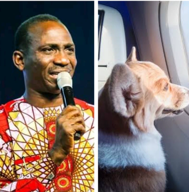 The Most Civilized Dog I Have Ever Seen Sat Peacefully In A Plane Beside Its Owner – Dr Paul Enenche