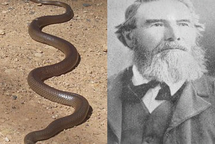 Story Of Man Who Snubbed God & How His Corpse Was Tormented By Snakes