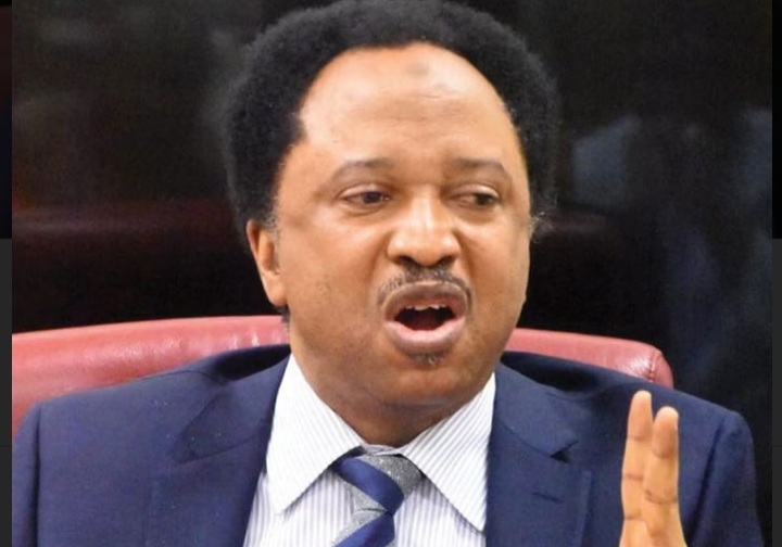 How Come No prophets were able to foresee the war between Russia and Ukraine  – Shehu Sani ask