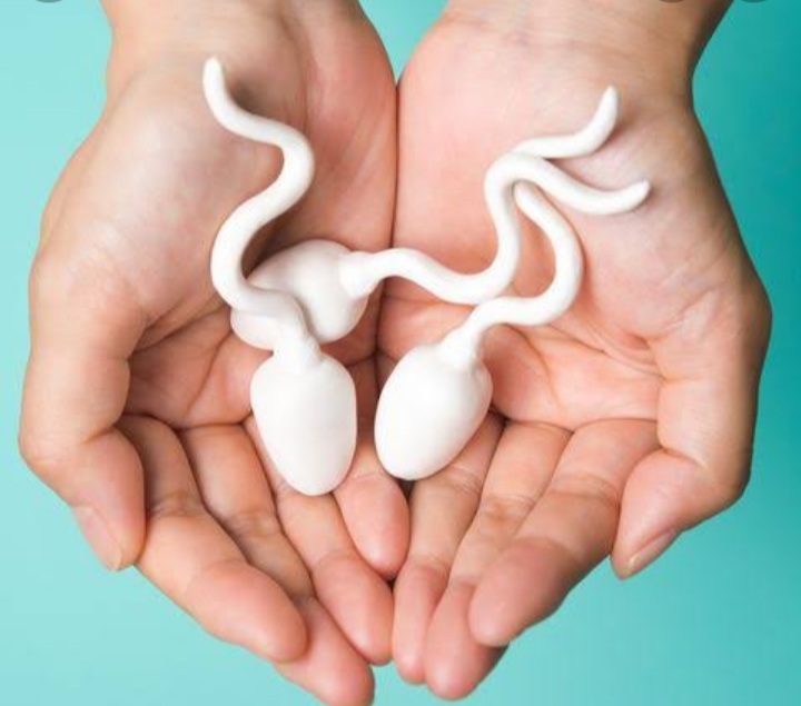 Health! Sperm Vs Semen: Here Is The Difference Between The Two