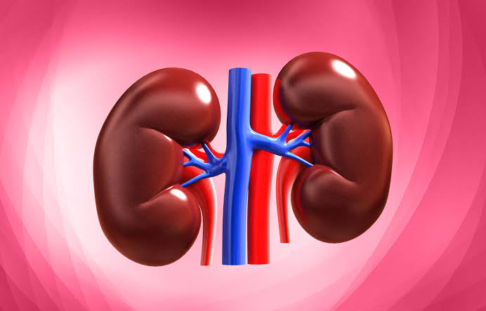 Protect Your Kidney By Doing These Four (4) Things